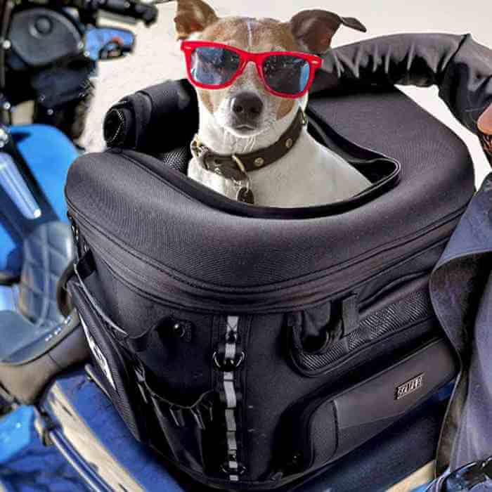 10 Motorcycle Helmet Care Tips You'll Love