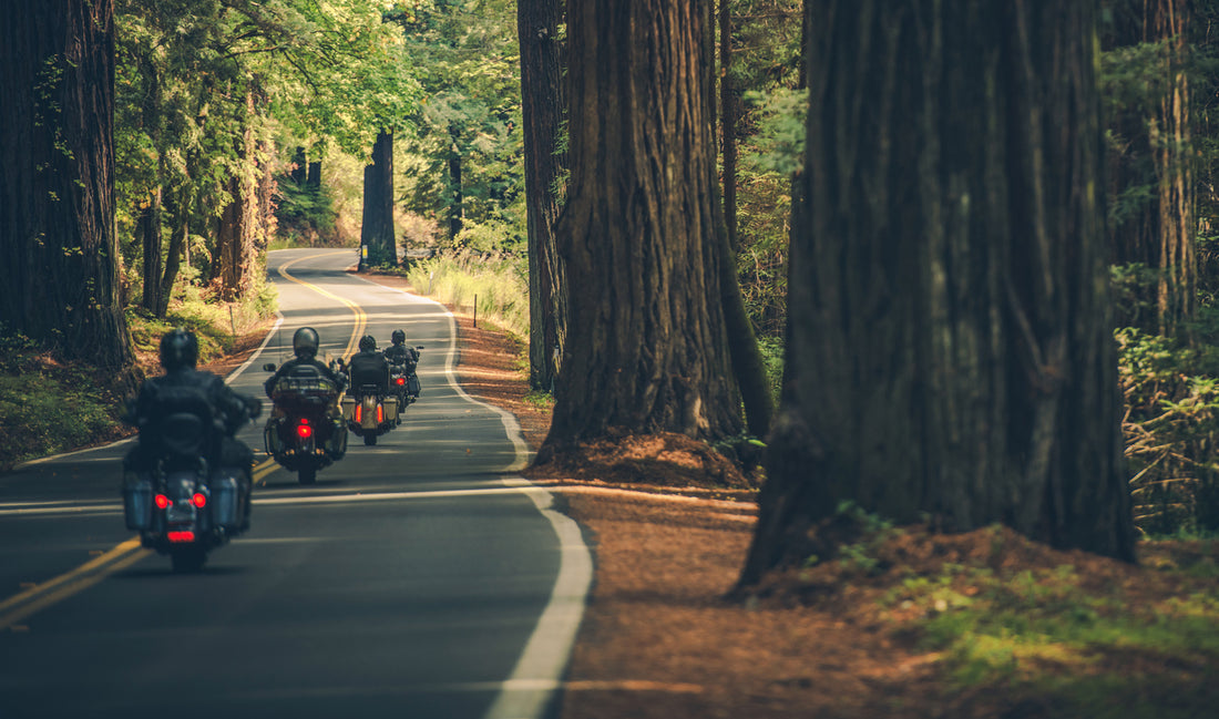 How many motorcycle riders wear helmets?